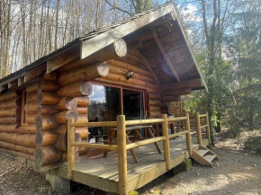 Chalet avec vue sur le lac